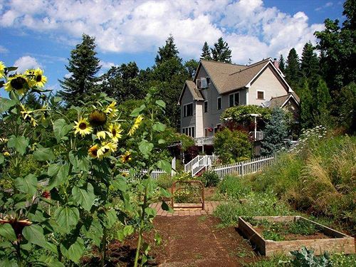 Husum Highlands Bed And Breakfast Buitenkant foto